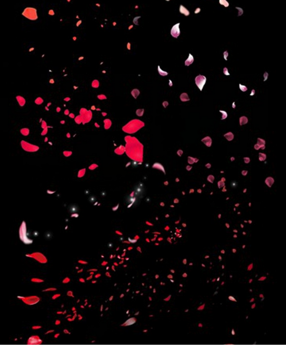 QQͼƬ20170302074959.png