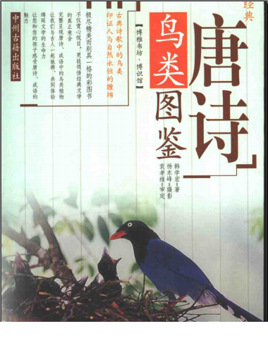 QQͼƬ20170617195133.png