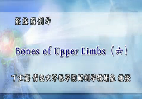 QQͼƬ20170623143814.png