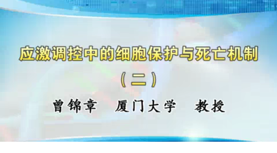QQͼƬ20170710110048.png