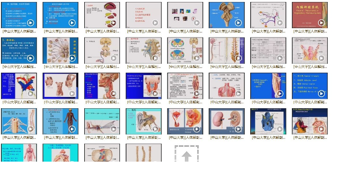 QQͼƬ20180508102030.png