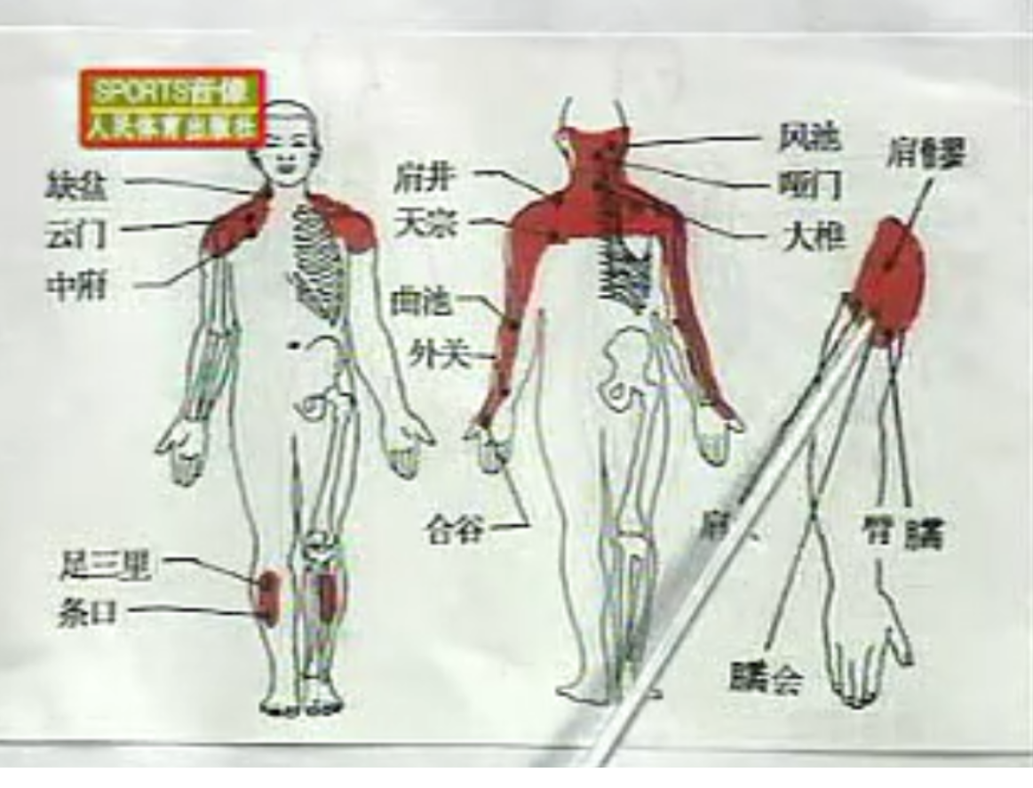 130420n8yib00868s3b33k.png