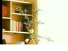 161645nkpirdrq0d525ahk.jpg
