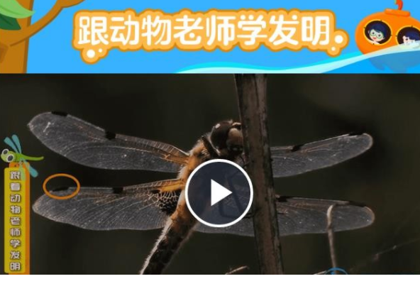 QQͼƬ20191212151133.png