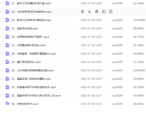 Snipaste_2021-07-19_21-33-18-300x238.png