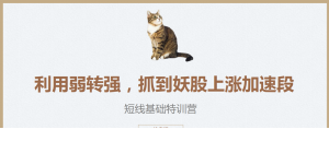 2022131753784662-300x140.png