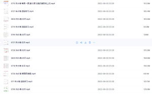 Snipaste_2022-08-05_06-49-59-300x209.png