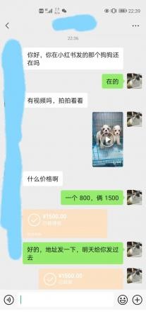 thum-18b21691302037.jpg