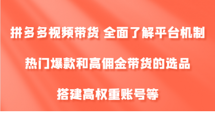 1725201336-713840-ee95c735-70cd-41dd-aac2-5ffa2e9149dc.png