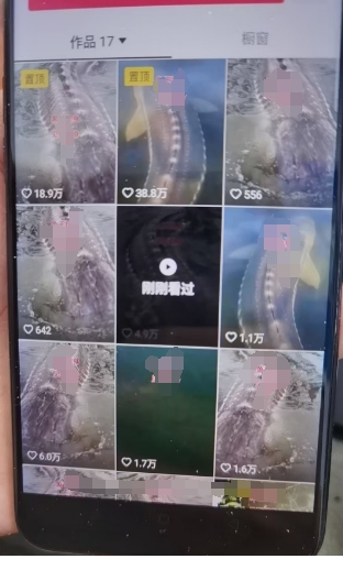 1730772661-962049-2b9ac662-2e14-4b63-8b3d-d9799515c649.png