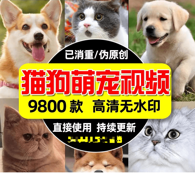 1739852151-137715-e5c01be9-e0d9-490c-9e85-91fce2d0655e.png