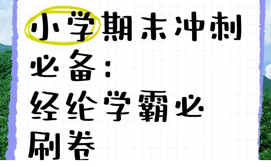 100275_KUGFGBDN6Q8W995.png