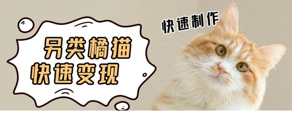 1748314026-181811-image.png