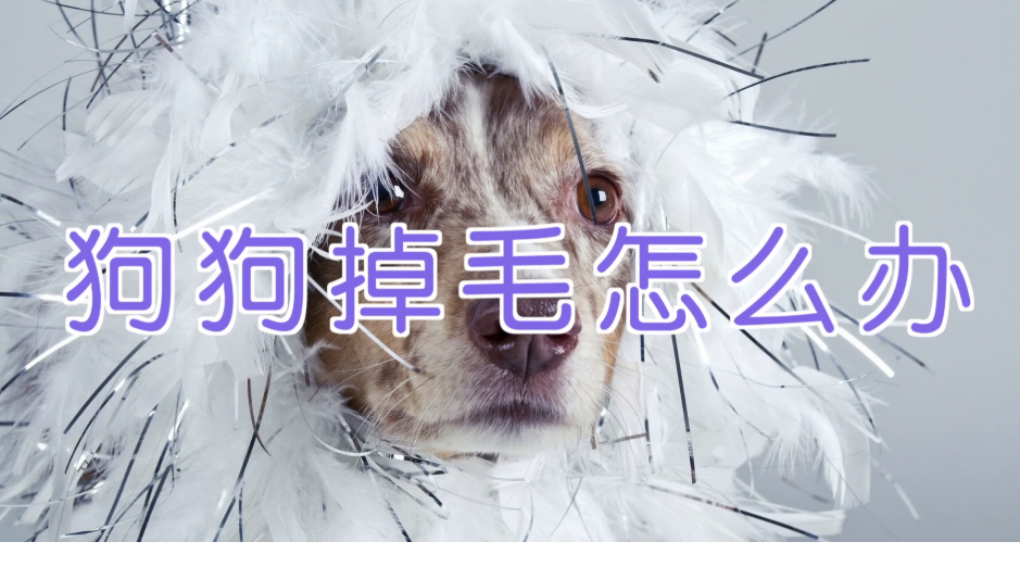 1764734237-356307-image.png